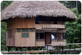 Cuyabeno reserve - 6 Days (CUYRE6)