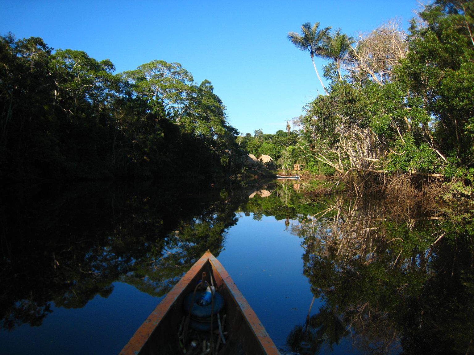 cuyabeno amazon ecuador