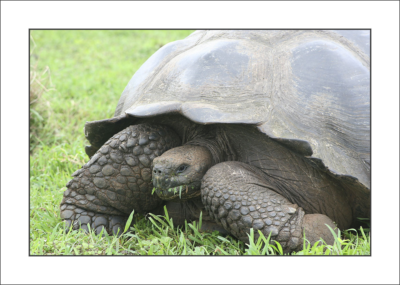 Ecuador_Galapagos_islands_0001.jpg