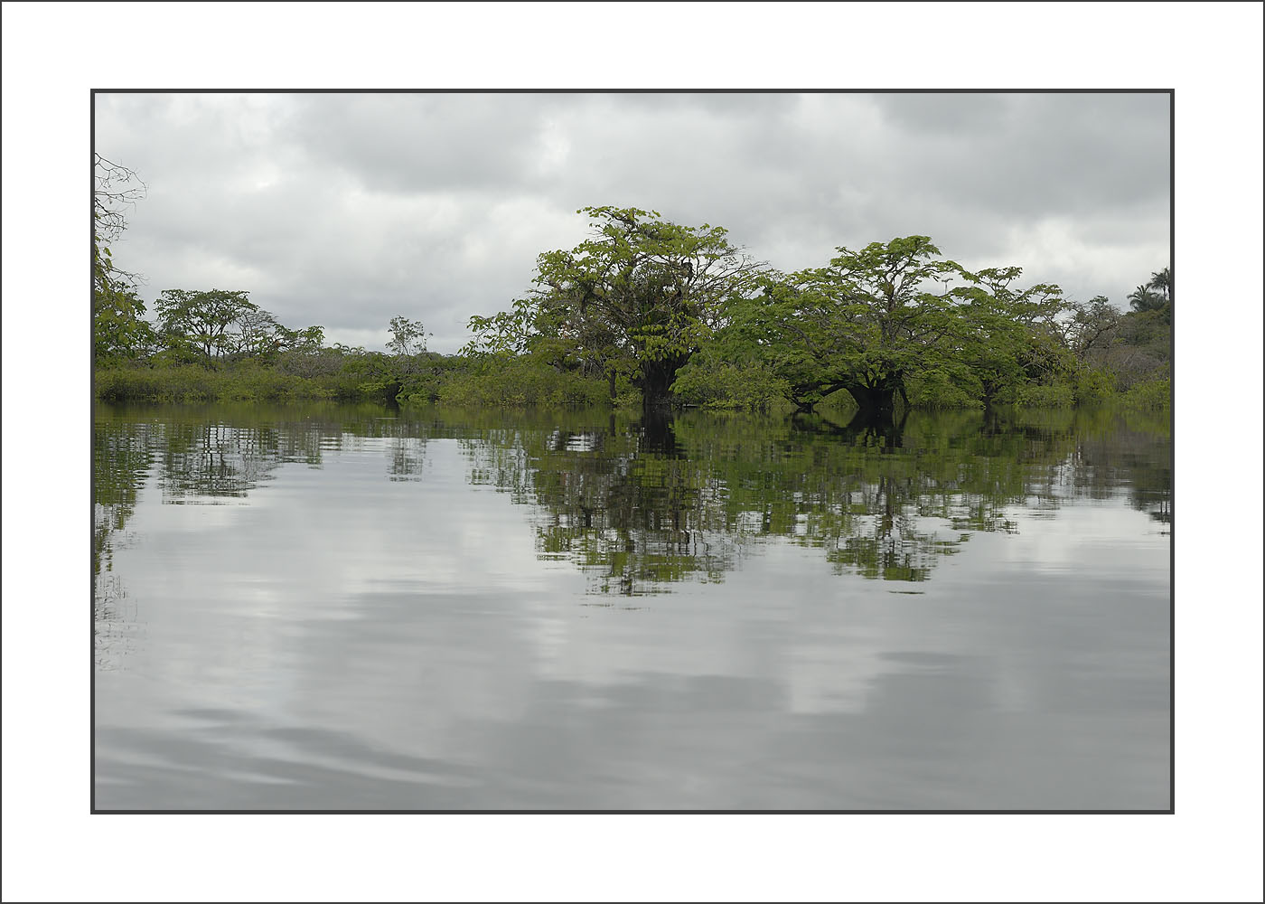 Amazonas_06.jpg