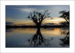 Amazonas_10.jpg