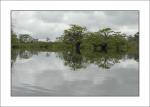 Amazonas_06.jpg