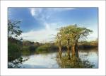 Amazonas_08.jpg