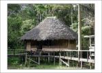 Amazonas_12.JPG