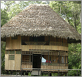 Lodge - Cuyabeno reserve
