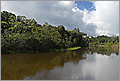 Cuyabeno river - Rainforest - Ecuador